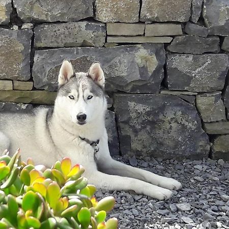 Cois Na Habhann Bed & Breakfast Doolin Exterior photo