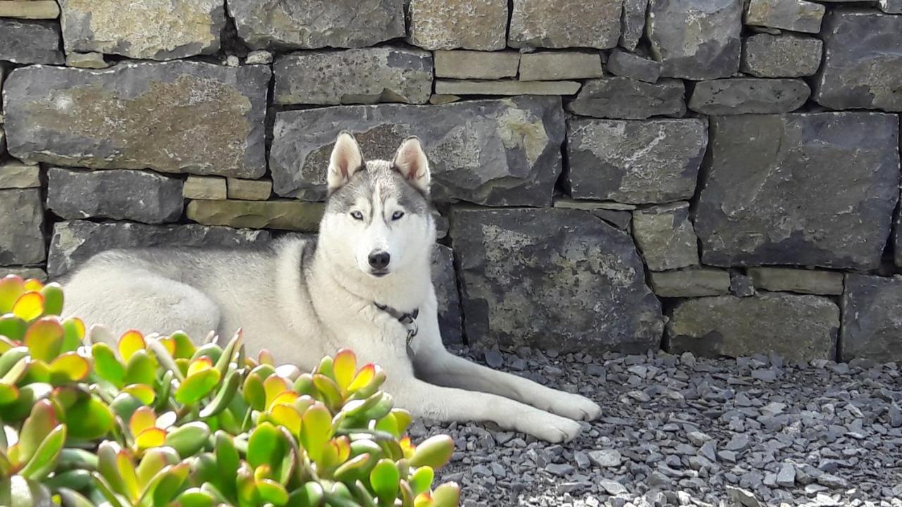 Cois Na Habhann Bed & Breakfast Doolin Exterior photo